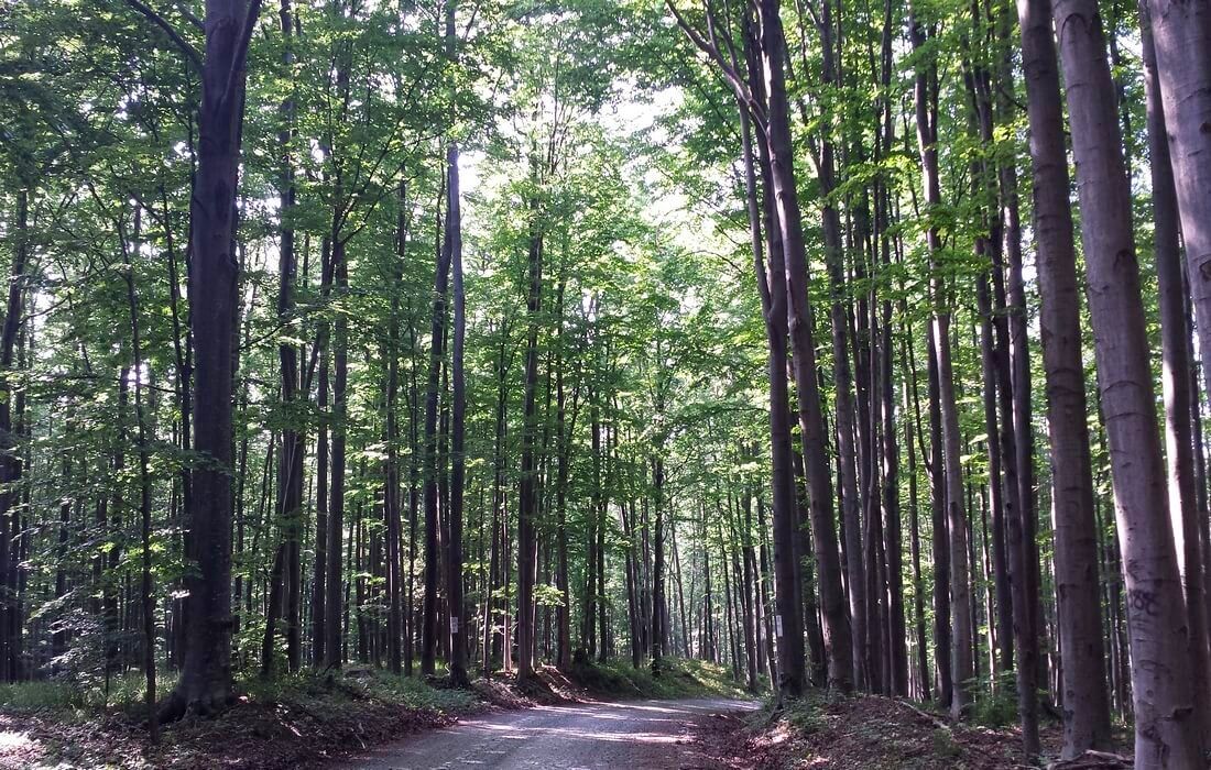 Nature Park Papuk – UNESCO Global Geopark